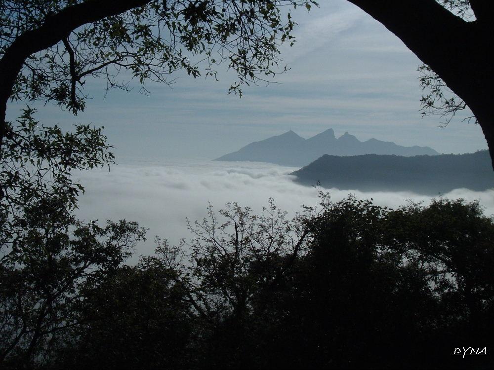Foto de Monterrey (Nuevo Leon), México