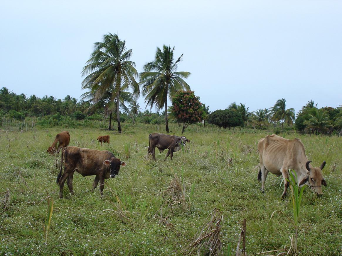 Foto de Baía da Traição (PB), Brasil