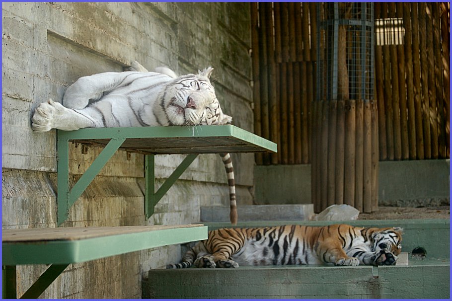 Foto de Madrid (Comunidad de Madrid), España