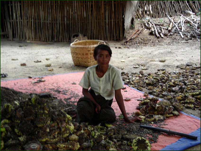 Foto de BAGAN, Myanmar