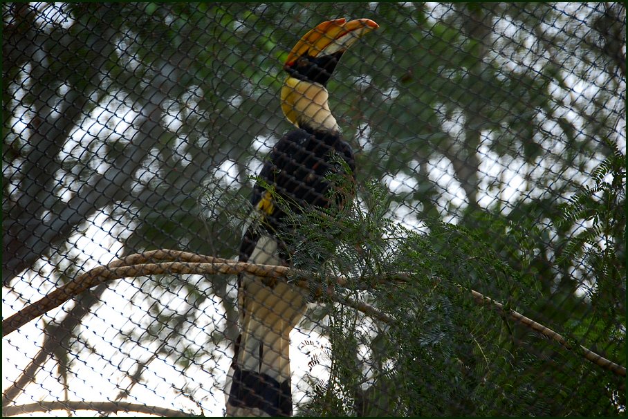 Foto de MANDALAY, Myanmar
