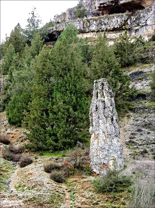 Foto de Ucero (Soria), España