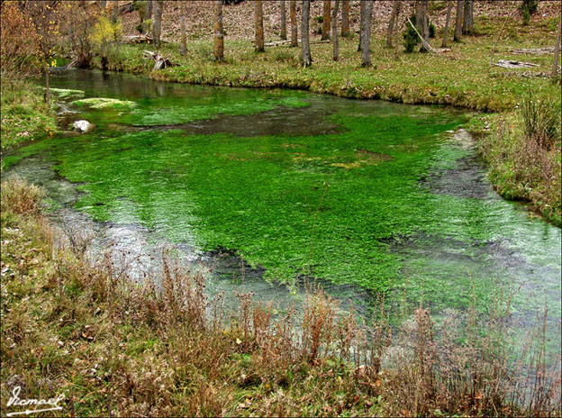 Foto de Muriel de la Fuente (Soria), España