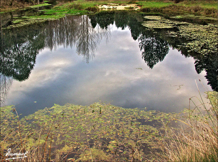 Foto de Muriel de la Fuente (Soria), España