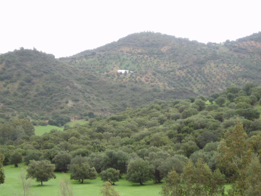 Foto de Coripe (Sevilla), España