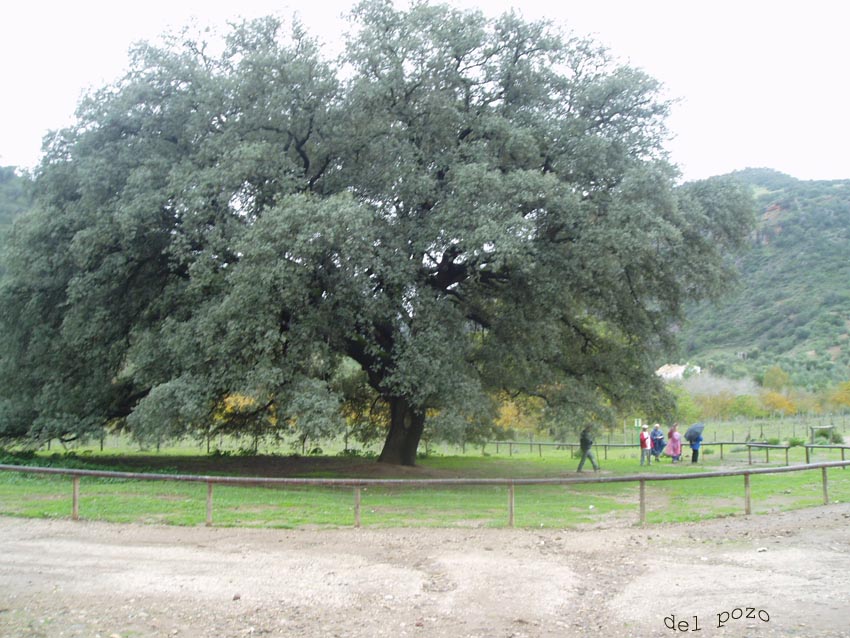 Foto de Coripe (Sevilla), España