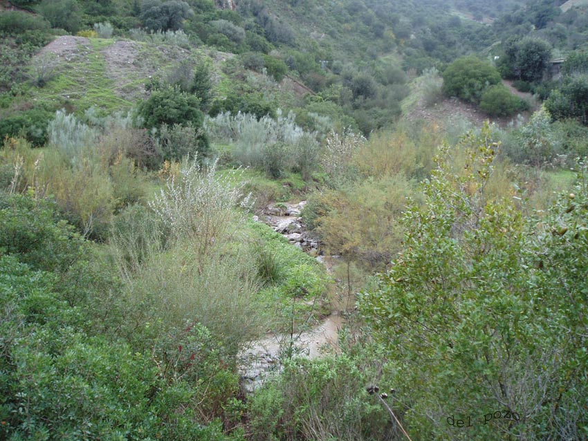 Foto de Coripe (Sevilla), España