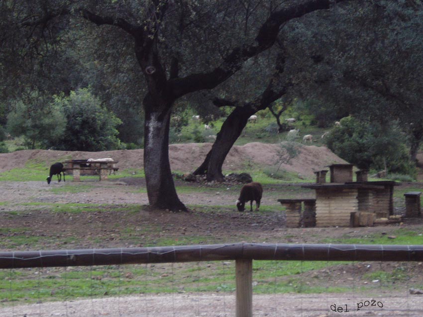 Foto de Coripe (Sevilla), España