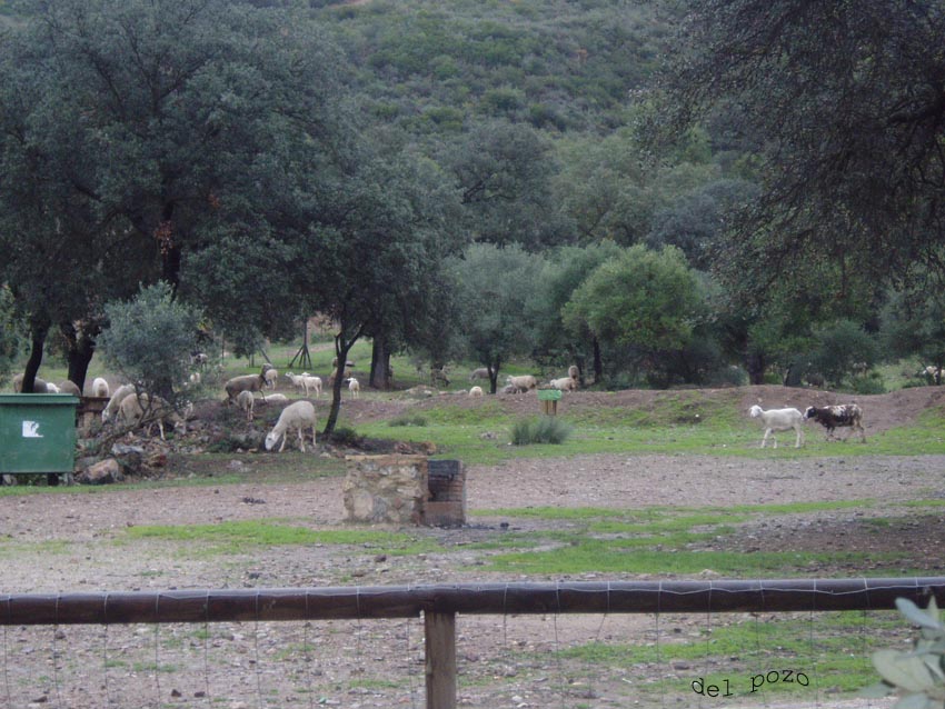 Foto de Coripe (Sevilla), España