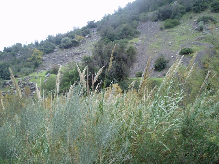 Foto de Coripe (Sevilla), España