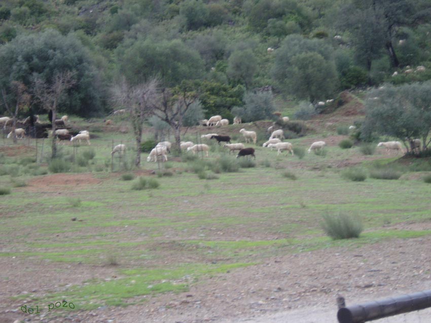 Foto de Coripe (Sevilla), España