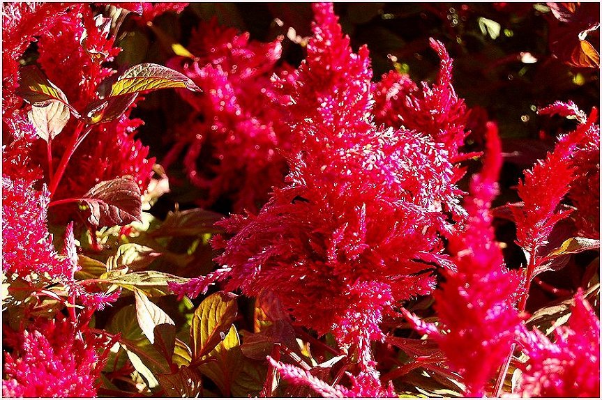 Foto de Madrid (Comunidad de Madrid), España