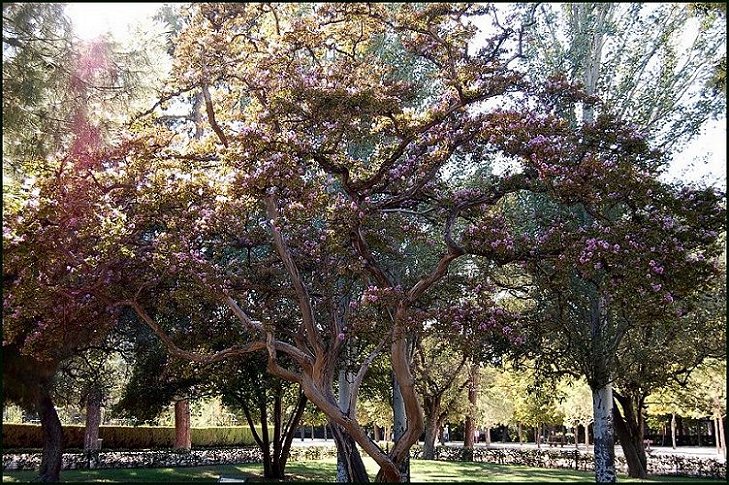 Foto de Madrid (Comunidad de Madrid), España