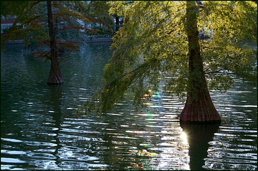 Foto de Madrid (Comunidad de Madrid), España