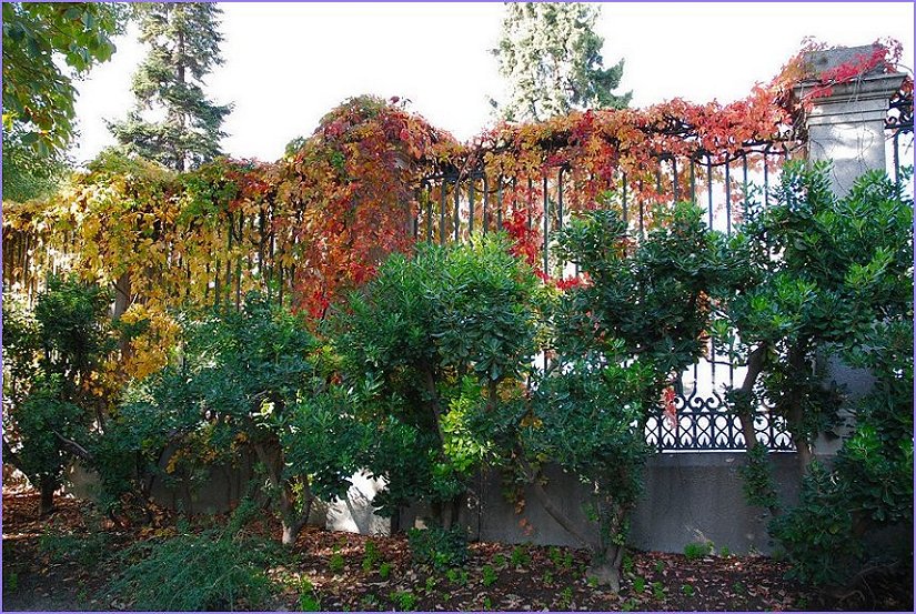 Foto de Madrid (Comunidad de Madrid), España