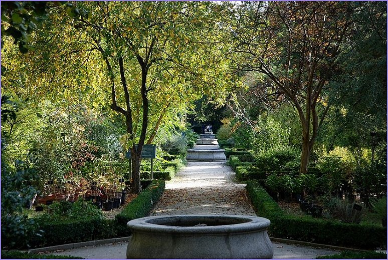 Foto de Madrid (Comunidad de Madrid), España