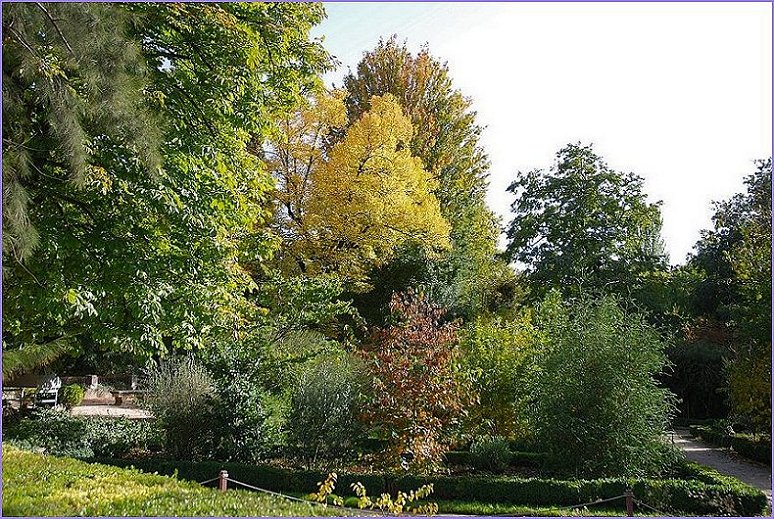 Foto de Madrid (Comunidad de Madrid), España