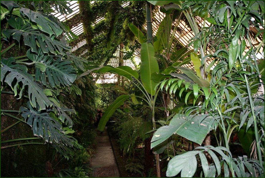 Foto de Madrid (Comunidad de Madrid), España