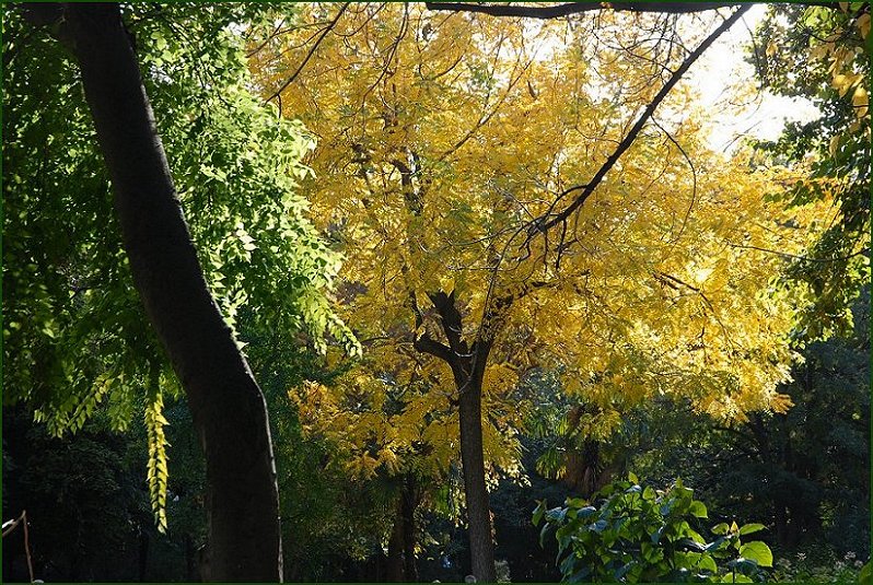 Foto de Madrid (Comunidad de Madrid), España