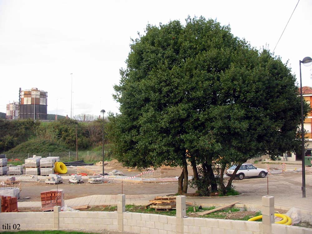 Foto de Avilés (Asturias), España