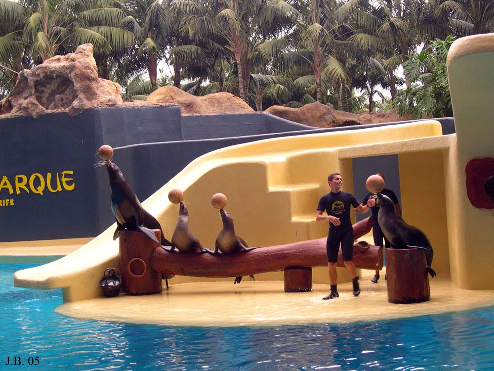 Foto de Tenerife (Santa Cruz de Tenerife), España