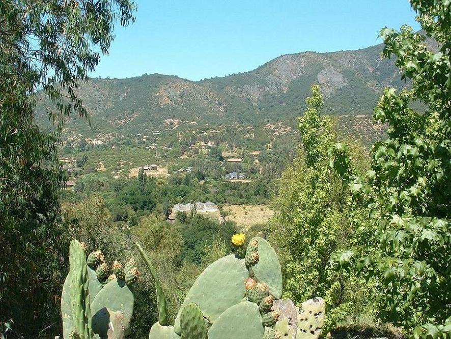 Foto de Curacaví, Chile