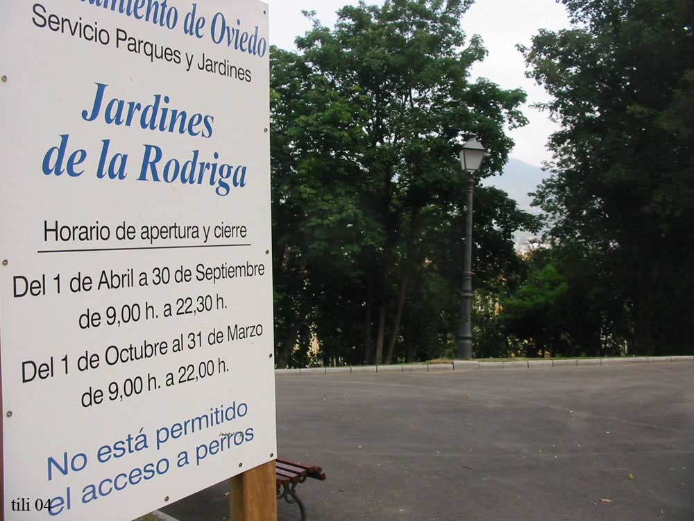 Foto de Oviedo (Asturias), España