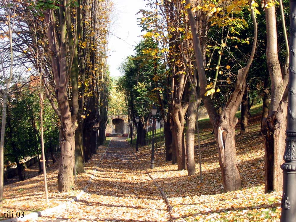 Foto de Oviedo (Asturias), España