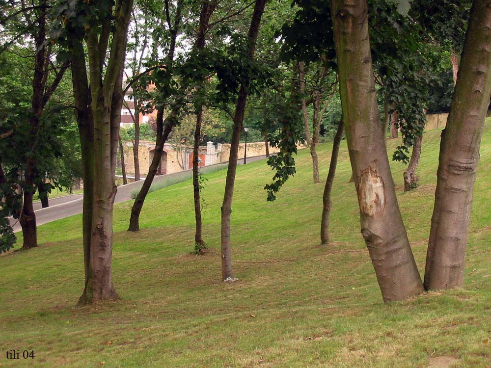 Foto de Oviedo (Asturias), España