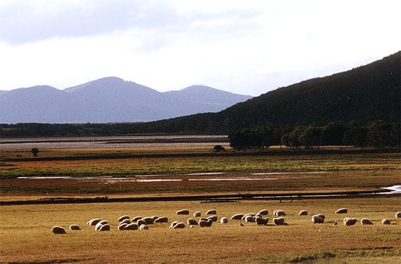 Foto de Río Grande (Tierra del Fuego), Argentina