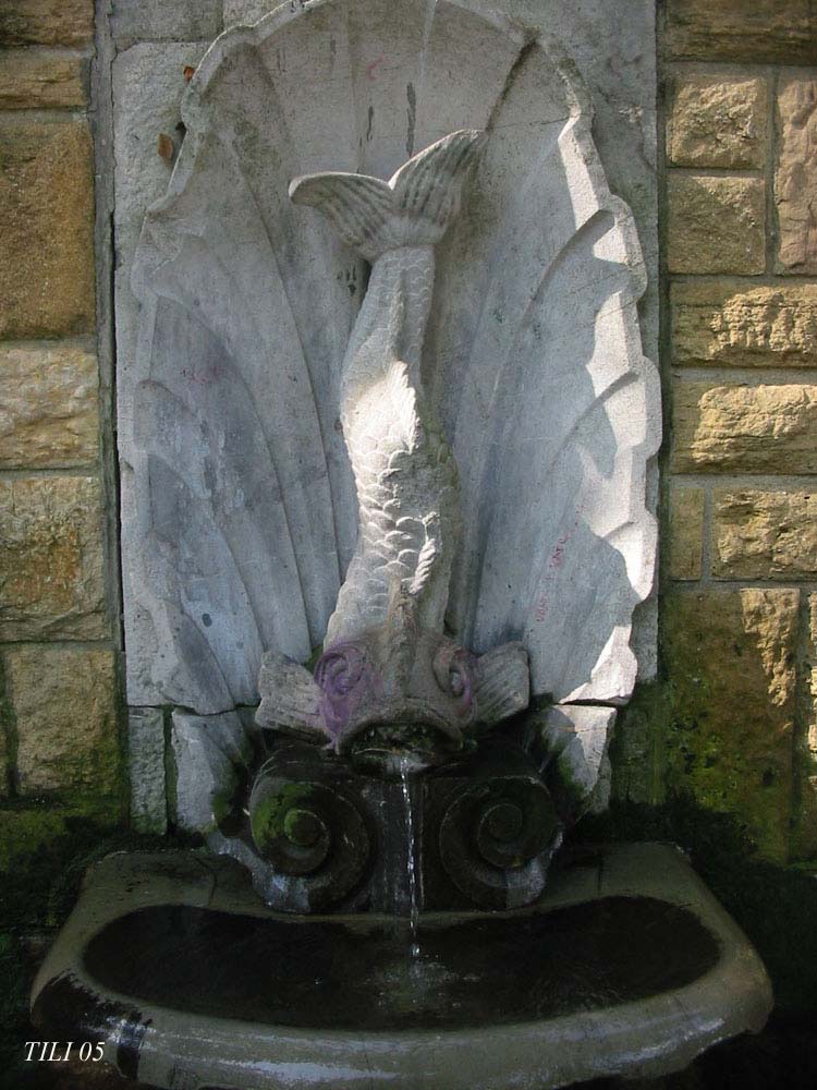 Foto de Oviedo (Asturias), España