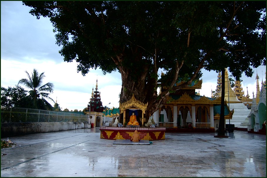 Foto de YANGON, Myanmar