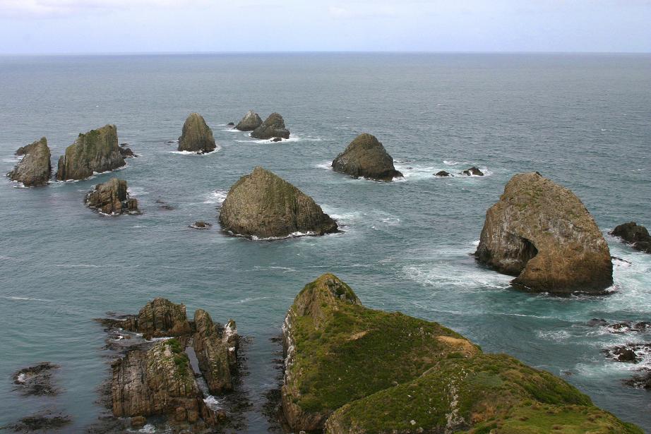 Foto de Nugget  Point., Nueva Zelanda