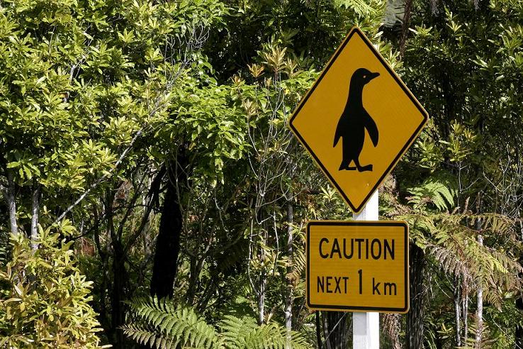 Foto de Punakaiki., Nueva Zelanda