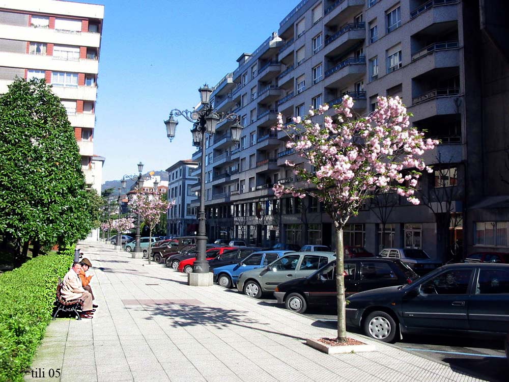Foto de Oviedo (Asturias), España