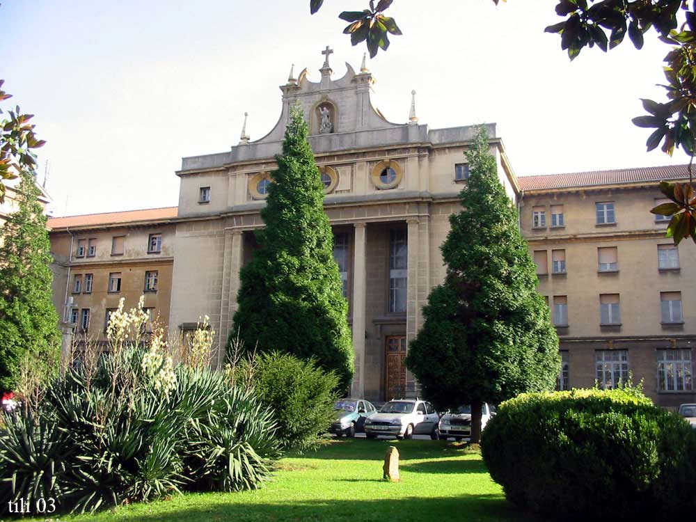 Foto de Oviedo (Asturias), España