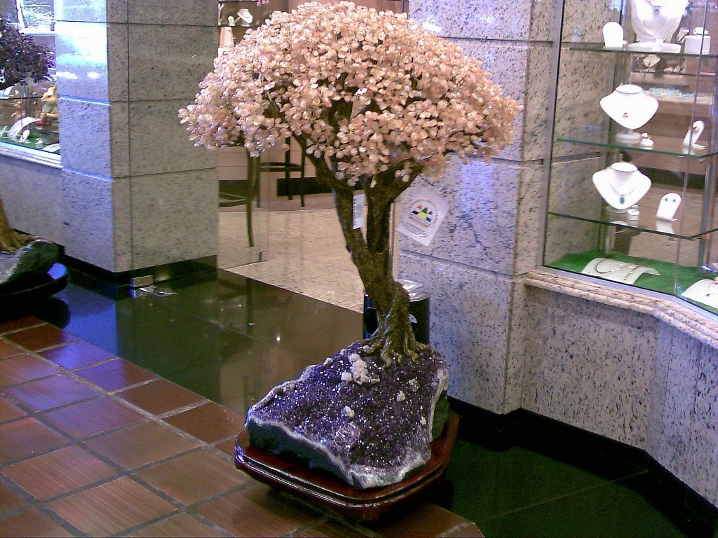 Foto de Foz do Iguazú (Brasil), Brasil