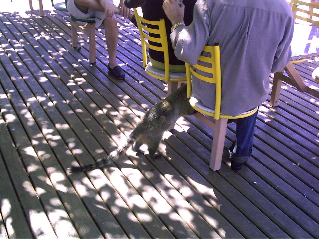 Foto de Iguazú (Brasil), Brasil