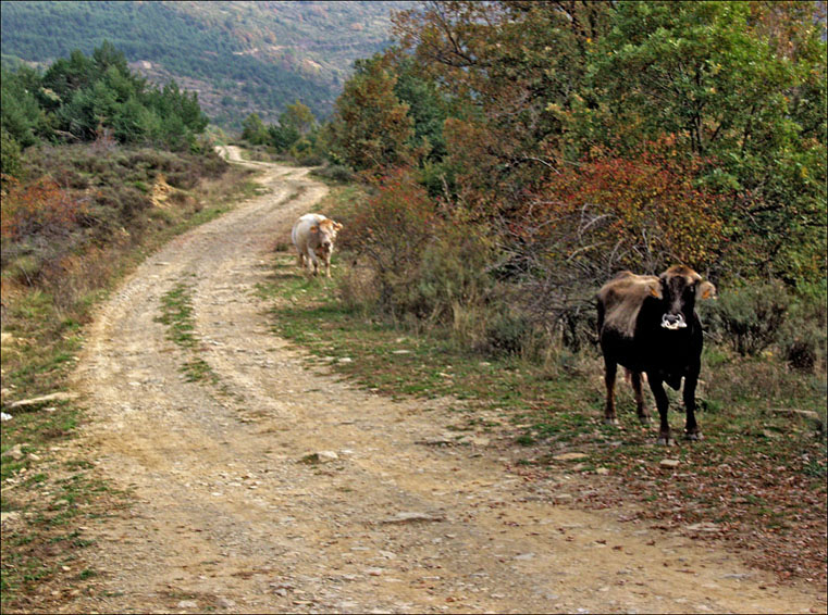 Foto de Espierre (Huesca), España