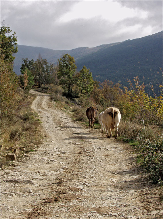 Foto de Espierre (Huesca), España