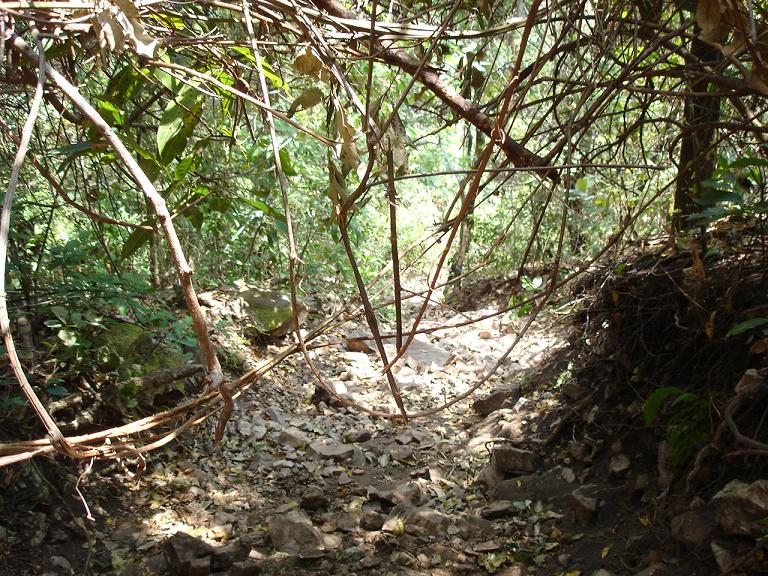 Foto de Formosa (Goiás), Brasil