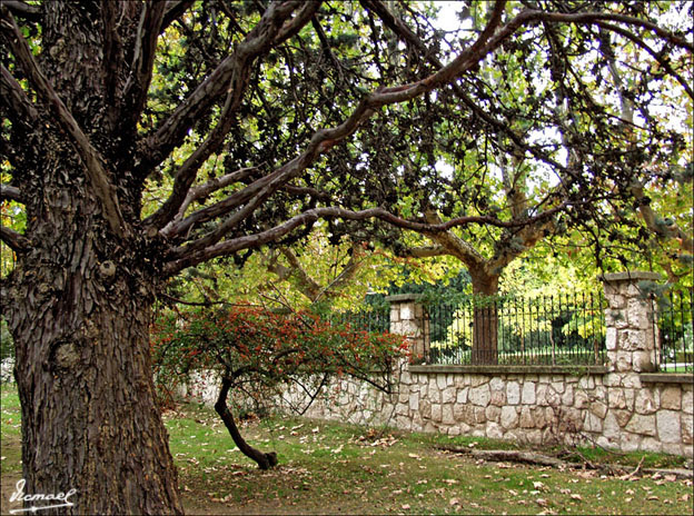 Foto de Zaragoza (Aragón), España