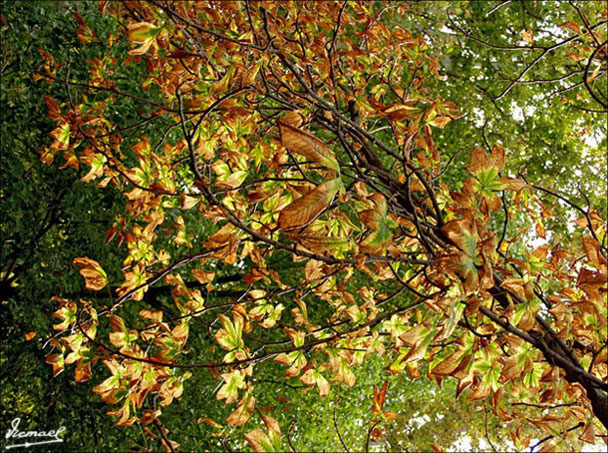Foto de Zaragoza (Aragón), España