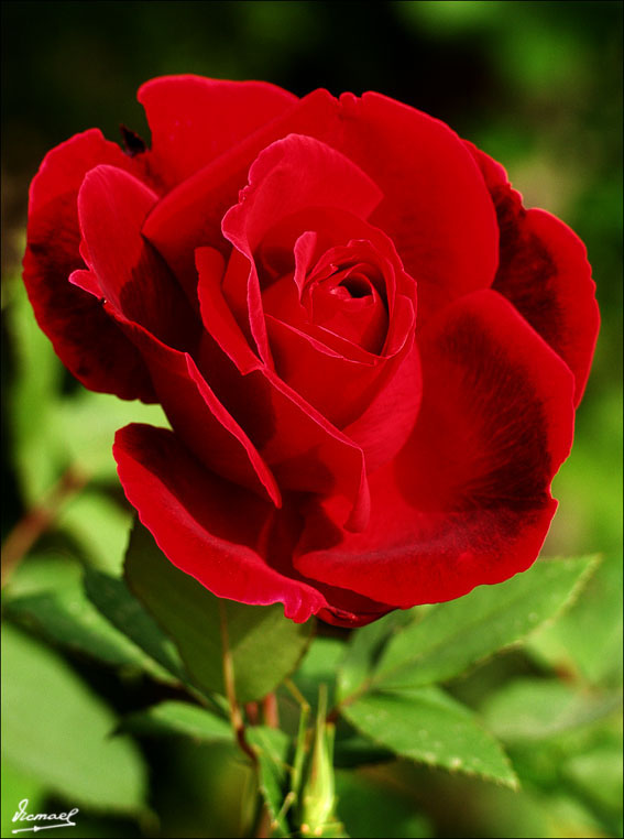 Foto de Zaragoza (Aragón), España