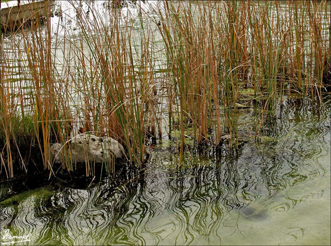 Foto de Zaragoza (Aragón), España