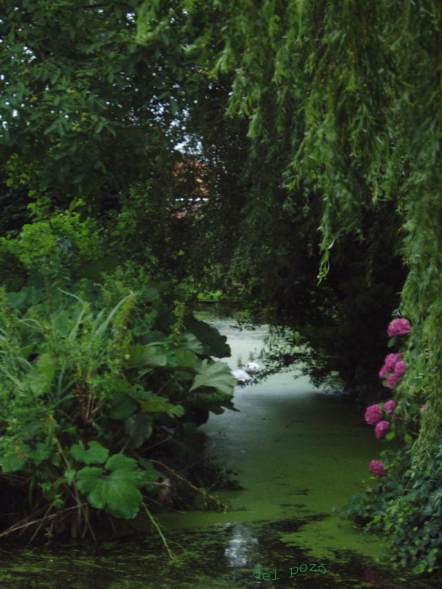 Foto de Voleban, Países Bajos