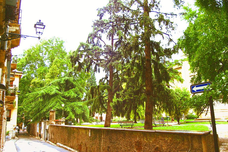 Foto de Verona, Italia