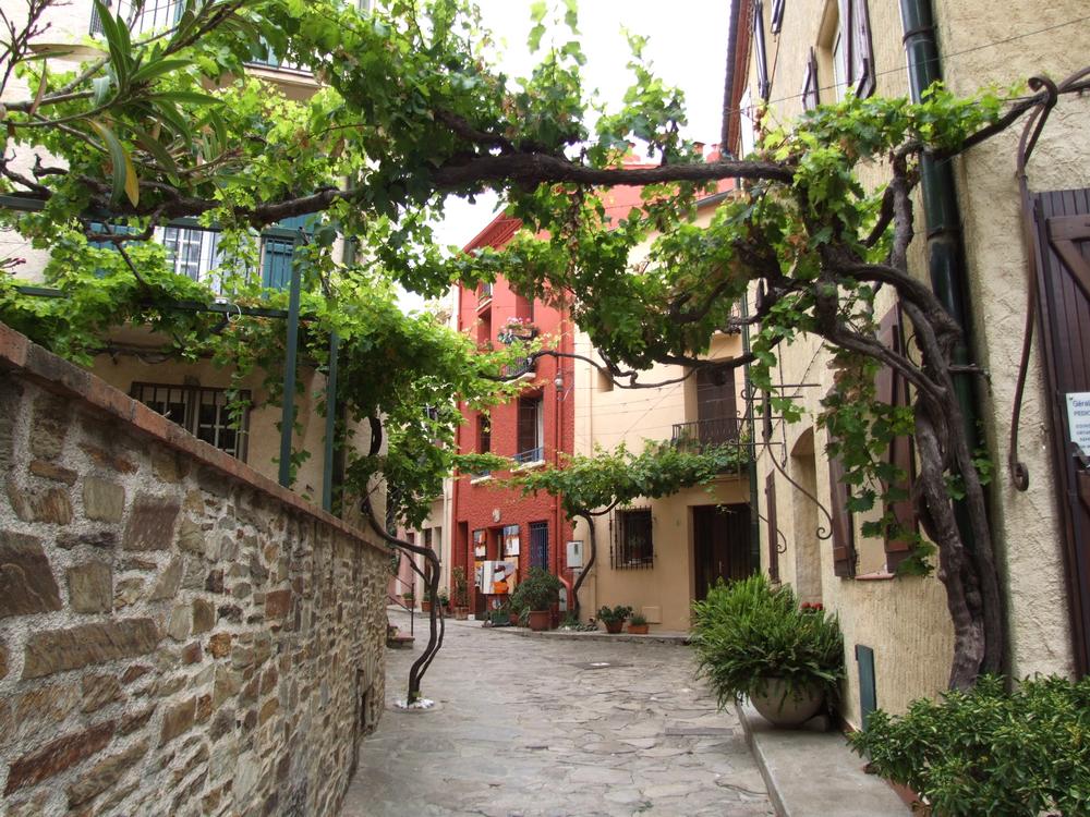Foto de Collioure (Francia), Francia