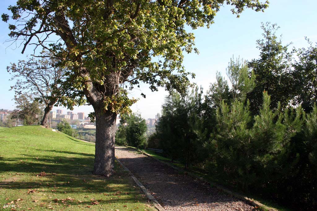 Foto de Oviedo (Asturias), España