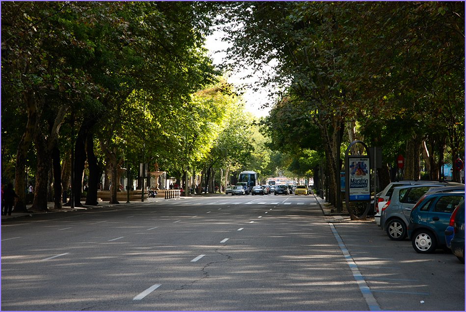 Foto de Madrid (Comunidad de Madrid), España